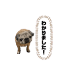 脱力スパイラル（個別スタンプ：5）