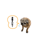 脱力スパイラル（個別スタンプ：8）