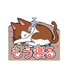 ふて猫ミント（主に待ち合わせ編）（個別スタンプ：31）