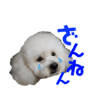 fuwawa2.（個別スタンプ：6）