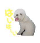 fuwawa2.（個別スタンプ：7）