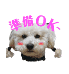 fuwawa2.（個別スタンプ：8）