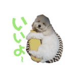 fuwawa2.（個別スタンプ：9）