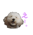 fuwawa2.（個別スタンプ：11）