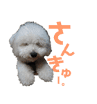 fuwawa2.（個別スタンプ：12）