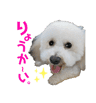 fuwawa2.（個別スタンプ：13）