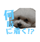 fuwawa2.（個別スタンプ：15）