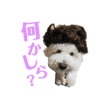 fuwawa2.（個別スタンプ：16）
