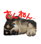 fuwawa2.（個別スタンプ：24）