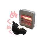 fuwawa2.（個別スタンプ：27）
