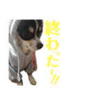 fuwawa2.（個別スタンプ：29）