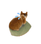 子猫のふうたと兄弟（個別スタンプ：12）