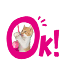 子猫のふうたと兄弟（個別スタンプ：14）