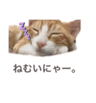 すぎちゃんち、（個別スタンプ：4）