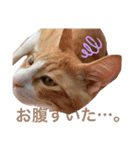 すぎちゃんち、（個別スタンプ：13）