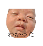 にこにこにこにこスタンプ（個別スタンプ：6）