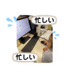 あまちゃんスタンプ3（個別スタンプ：4）