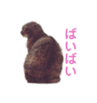 メイのスタンプたち（個別スタンプ：5）