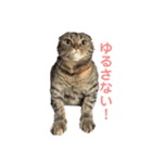 メイのスタンプたち（個別スタンプ：8）