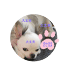 おちゅスタ♡はるスタ②時々ばびらぼ（個別スタンプ：24）