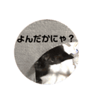 すみれのうめまつスタンプ（個別スタンプ：8）