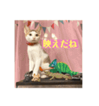 すみれのうめまつスタンプ（個別スタンプ：13）