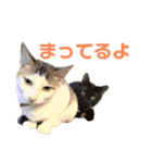 すみれのうめまつスタンプ（個別スタンプ：14）