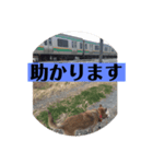 愛犬花8（個別スタンプ：7）