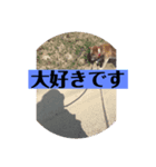 愛犬花8（個別スタンプ：8）