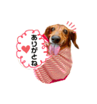 てぃあらたん（個別スタンプ：5）