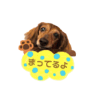 てぃあらたん（個別スタンプ：7）