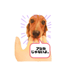 てぃあらたん（個別スタンプ：9）