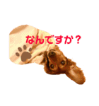 てぃあらたん（個別スタンプ：10）
