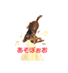 てぃあらたん（個別スタンプ：13）