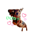 てぃあらたん（個別スタンプ：14）