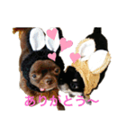 つぶあん君のスタンプ（個別スタンプ：9）