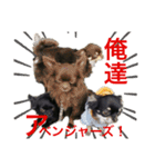 つぶあん君のスタンプ（個別スタンプ：23）