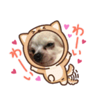 チッチすたんぷ（個別スタンプ：6）