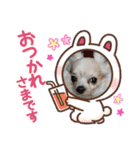 チッチすたんぷ（個別スタンプ：7）