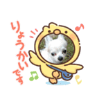 チッチすたんぷ（個別スタンプ：8）