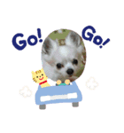 チッチすたんぷ（個別スタンプ：9）
