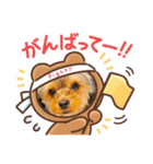 マロちゃんスタンプ第一弾（個別スタンプ：1）