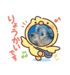 マロちゃんスタンプ第一弾（個別スタンプ：11）