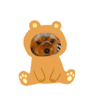 マロちゃんスタンプ第一弾（個別スタンプ：12）