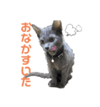 あしゅあんどそい（個別スタンプ：8）