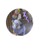 フジオキ3（個別スタンプ：8）