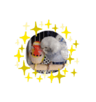 フジオキ3（個別スタンプ：11）