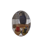 フジオキ3（個別スタンプ：12）