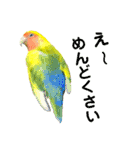 コザクラインコ ペッコちゃん2（個別スタンプ：30）