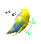 コザクラインコ ペッコちゃん2（個別スタンプ：32）